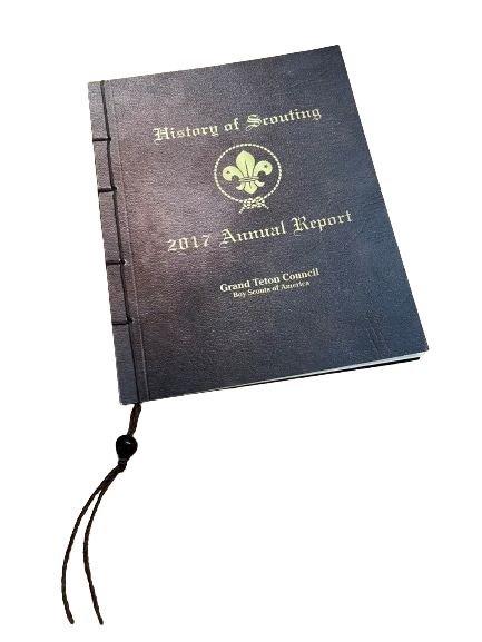 BSA Annual Report